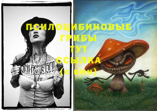 ALPHA PVP Волосово