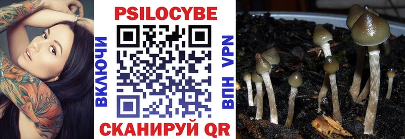 Галлюциногенные грибы мухоморы  Купить где  Светогорск 